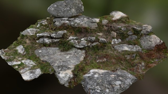 Chavella Hill Fort Wall 3D Model