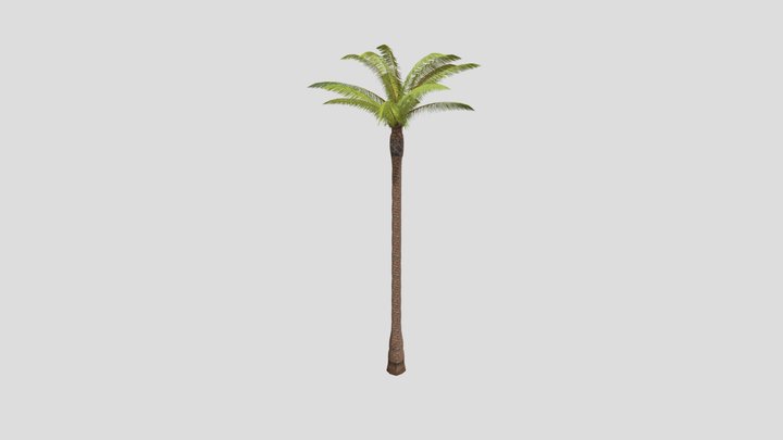 Palm tree 498 – Free 3D Model STL
