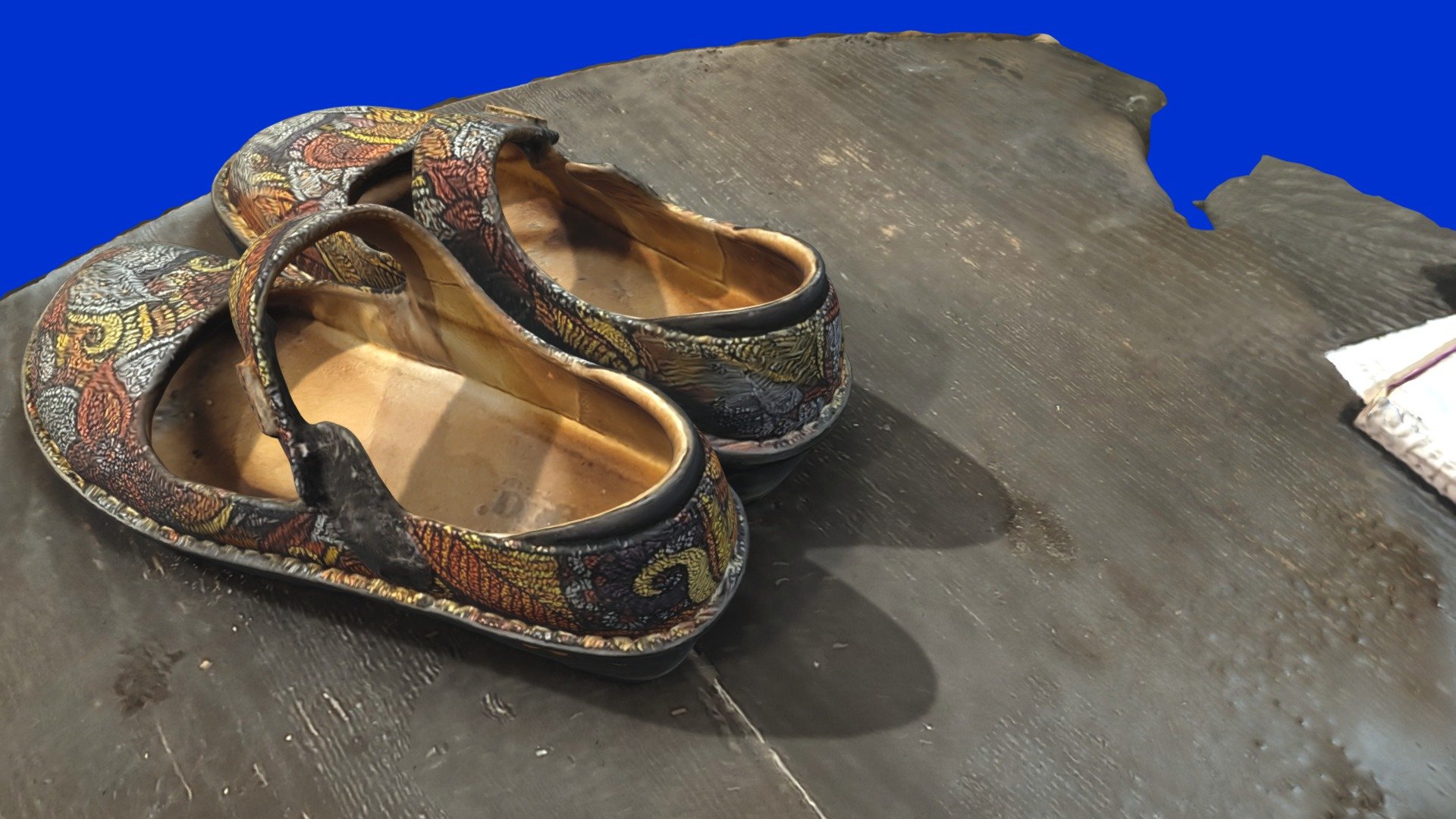 Allegria Shoes #ScanADay