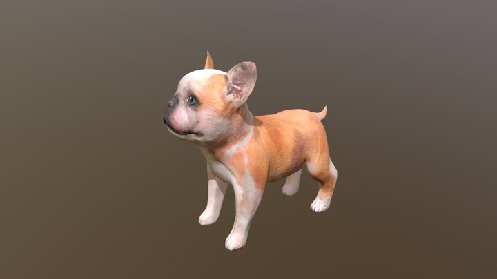 French Bull Puppy – Modello 3D gratuito STL