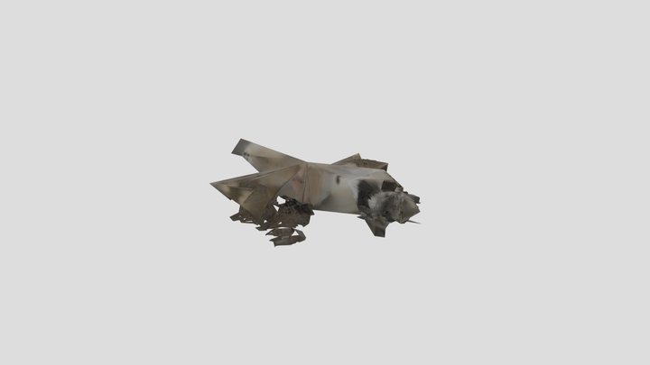 plan destroyed 3D Model
