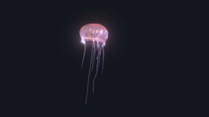 jellyfish 3D Model