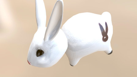 Jumping Rabbit 3D Model