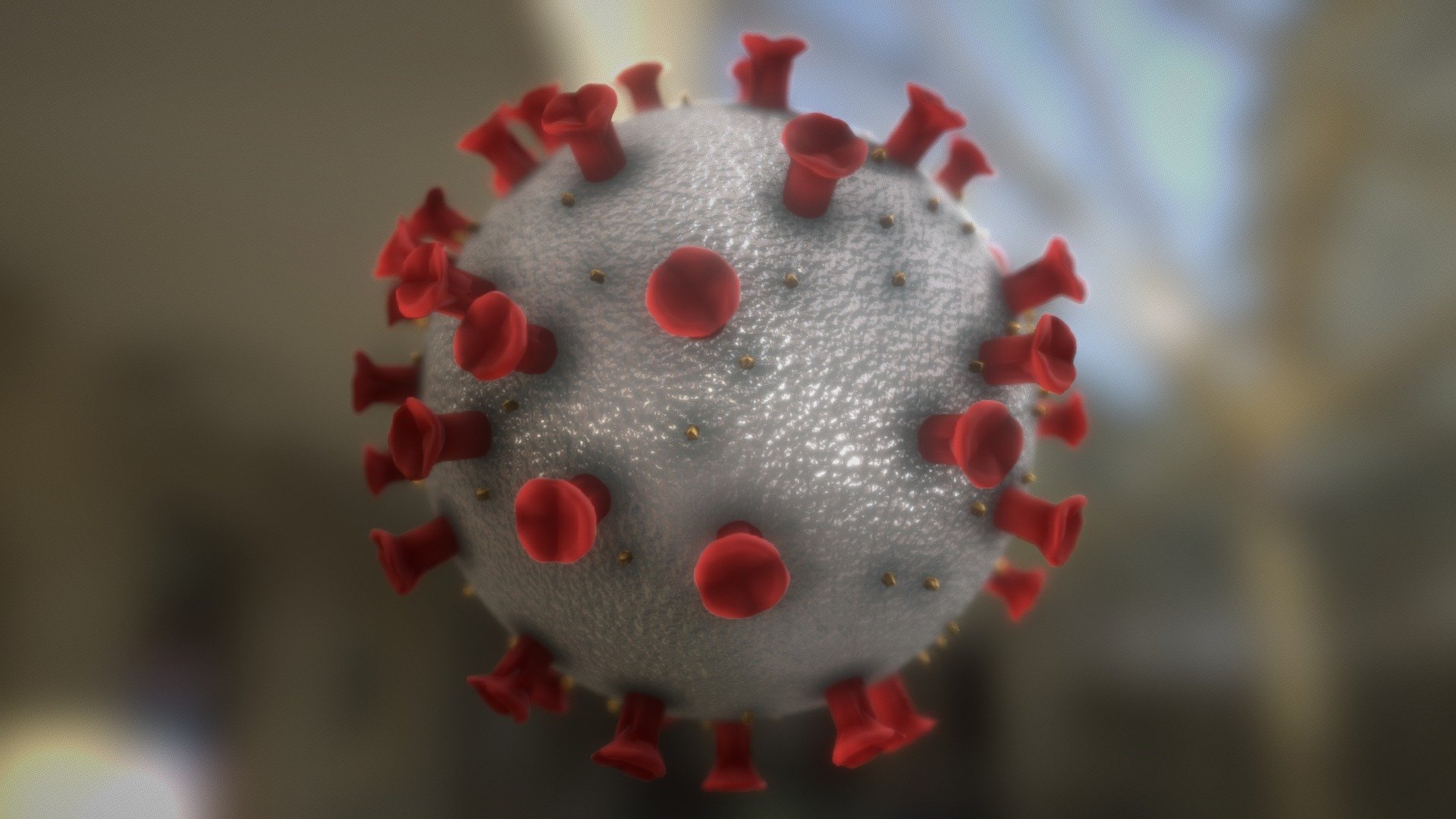 Corona Covid-19 virus