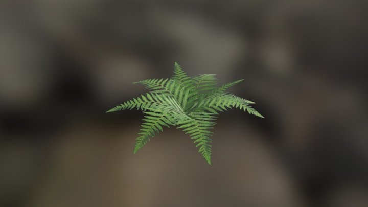 Plant2 3D Model
