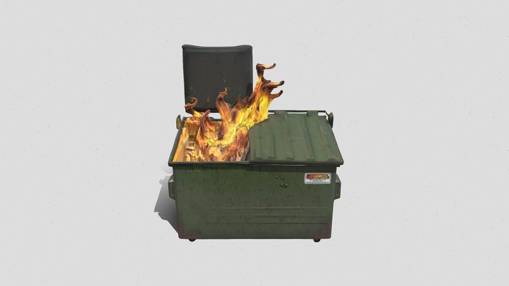 Dumpster Fire 3D Model