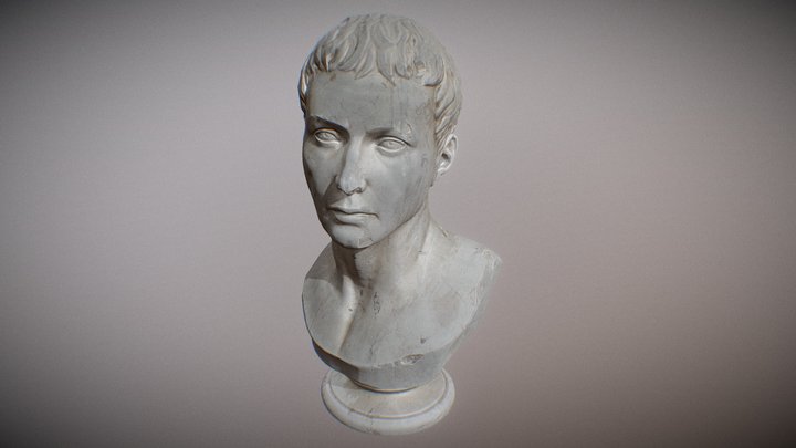Marble Bust