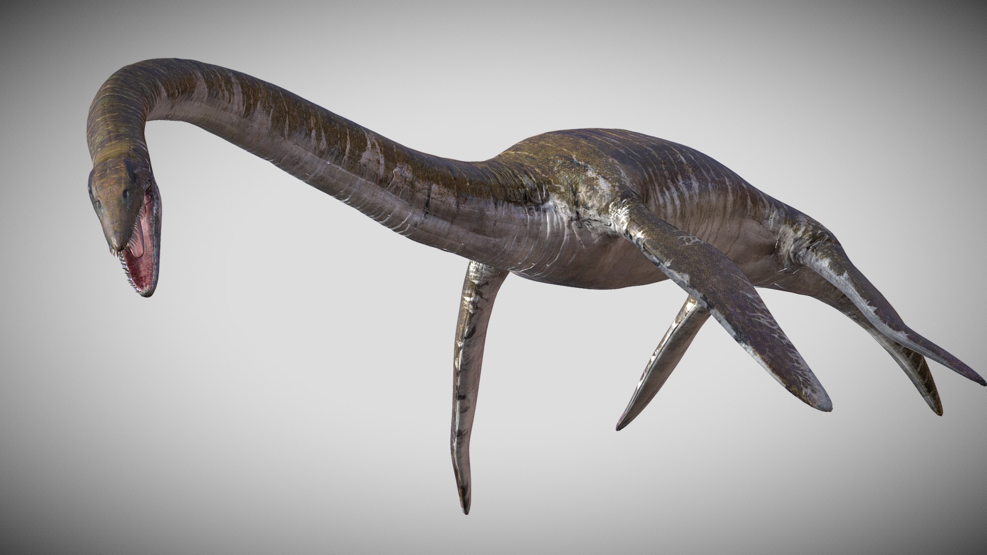 3D model Elasmosaurus Rigged - This is a 3D model of the Elasmosaurus Rigged. The 3D model is about a black and white fish.