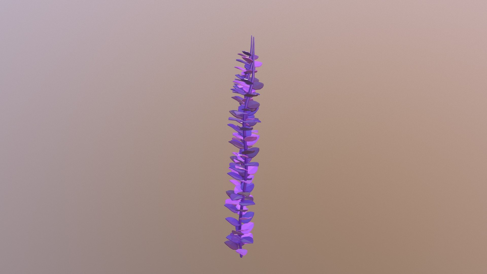 Seaweed Asset