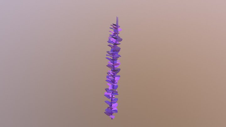 Seaweed Asset 3D Model