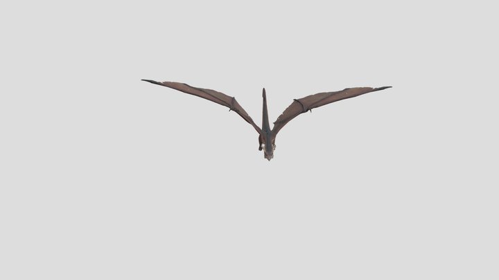 Dragon3 3D Model