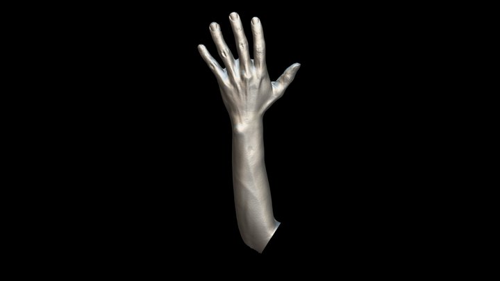 Hand-arm 3D Model