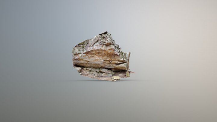 Revelry - V6 3D Model