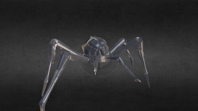 Spider 3D Model