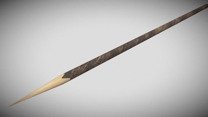 Lanza dormenia 3D Model