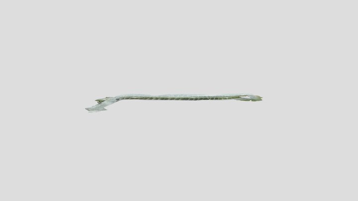 New Model 3D Model