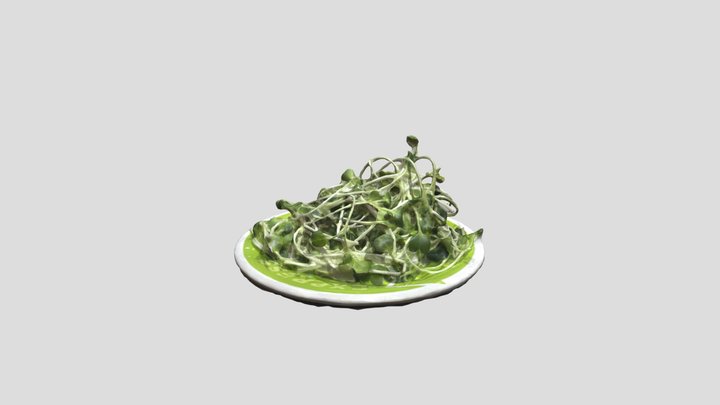 Vegetable from rotary hotspot ( Photogrammetry ) 3D Model