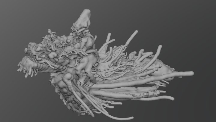 VR02 3D Model