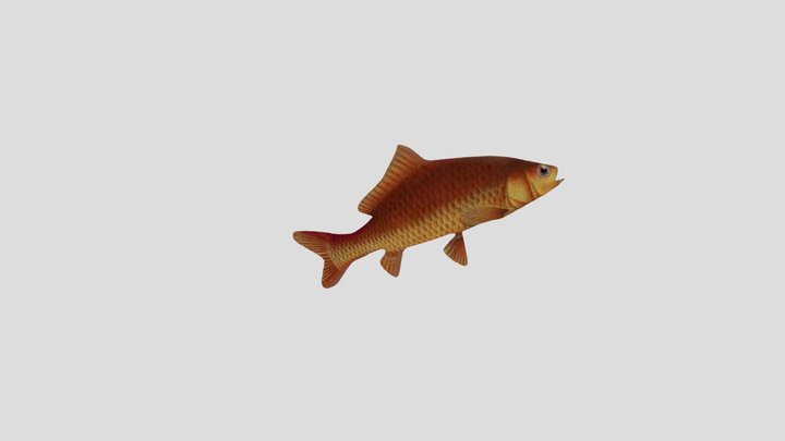 Ikan Wader 3D Model