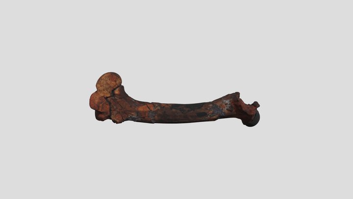 JS190 3D Model