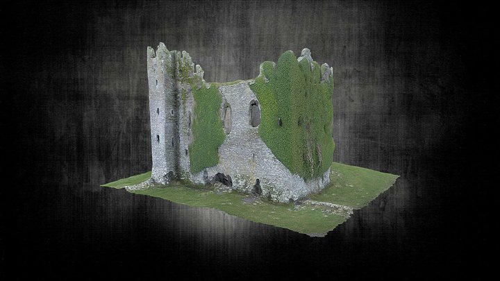 Ballycarbery Castle 3D Model