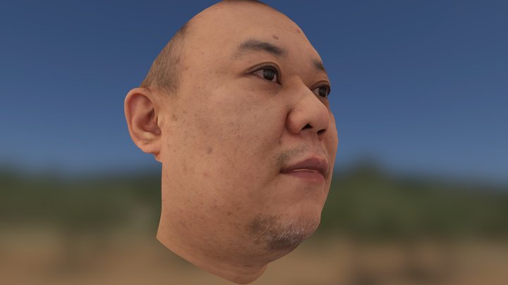 High-quality 3D face scan by SUPER SCAN STUDIO 3D Model