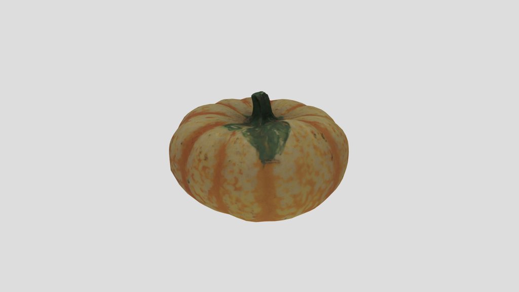 Maes pumpkin