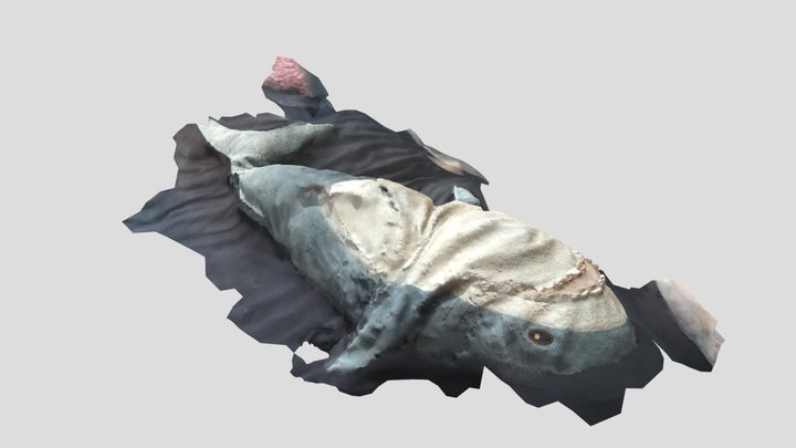 DEAD BLÅHAJ 3D Model