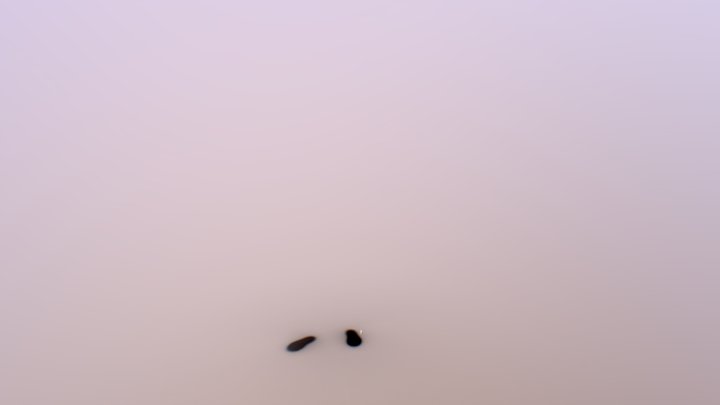 Brenda 3D Model