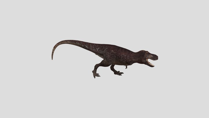 T 3D Model