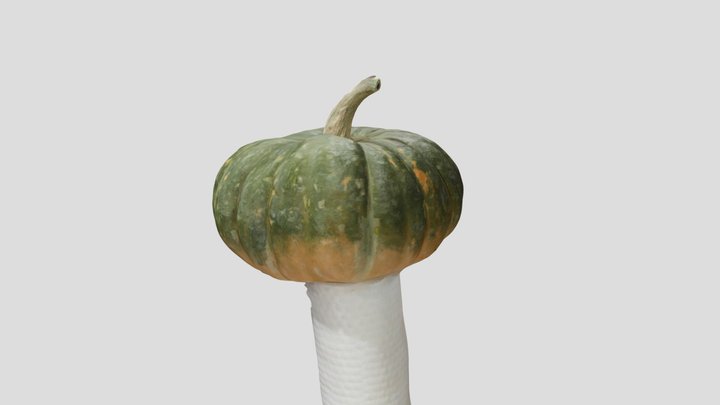 Pumpkin 3D Model