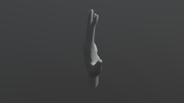 Hand Model - Noa Kuypers 3D Model