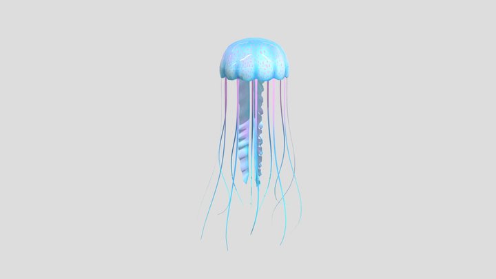 Jellyfish 3D Model