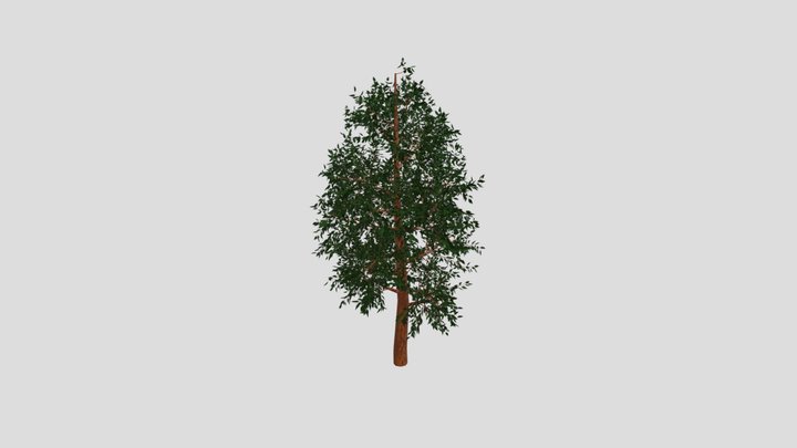 Simple Generated Tree 3D Model