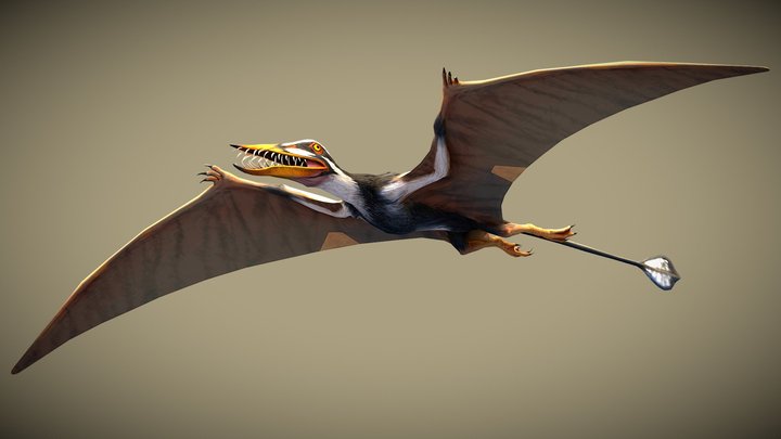 JW: PO Rhamphorhynchus – Free 3D Model STL