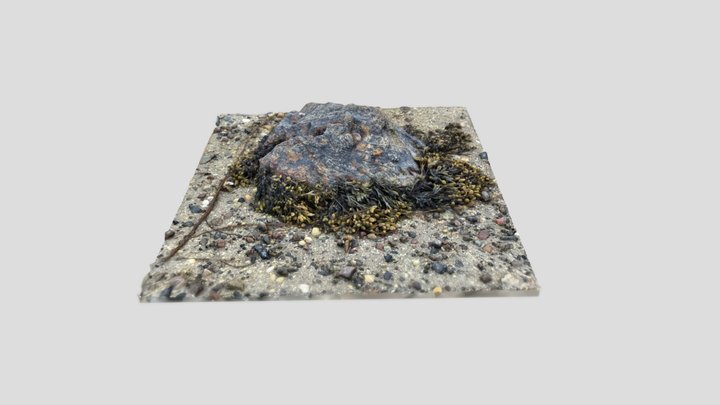 Small Nordic Rock var. 2 3D Model