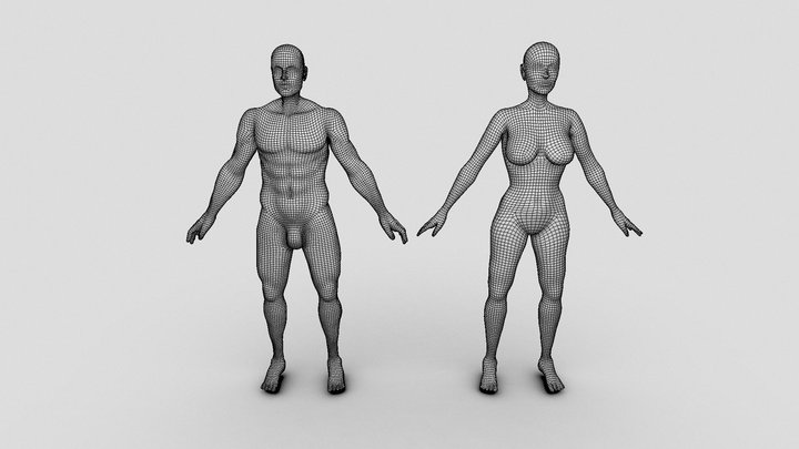 Female and Male Anatomy Base Mesh Low Poly Pack 3D Model