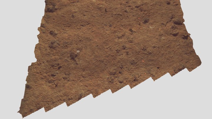 Voyage to the Abyss: find the deep-sea cucumber! 3D Model