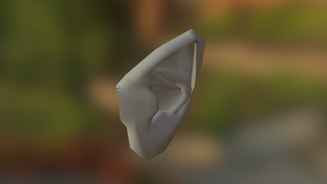 Ear 3D Model