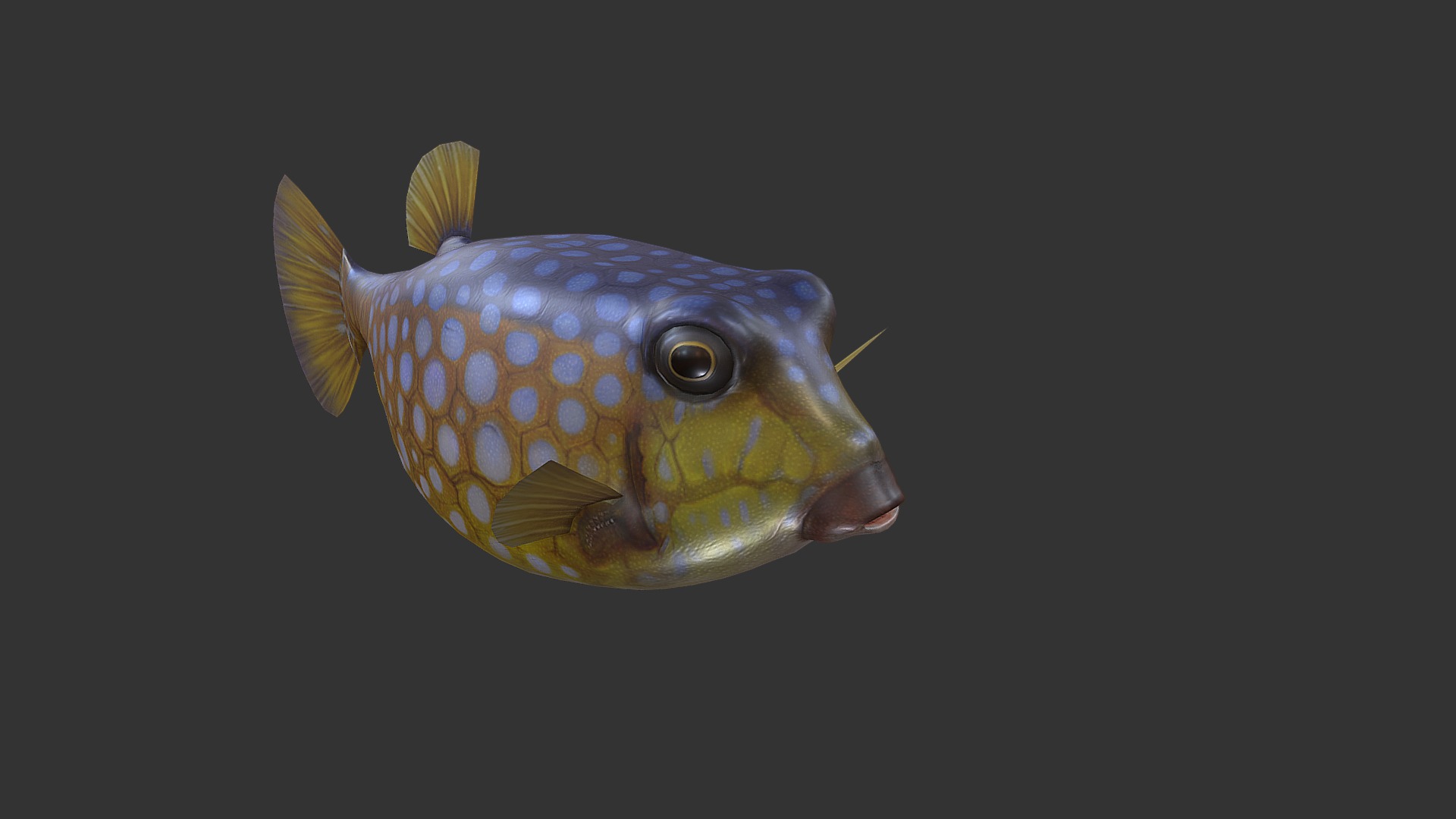 3D model Bo Hom - This is a 3D model of the Bo Hom. The 3D model is about a fish with a yellow and purple striped tail.
