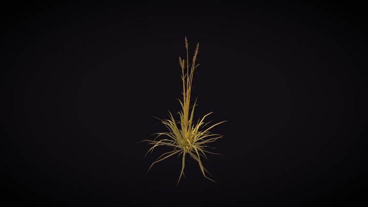 Grass - vegetation 3D Model