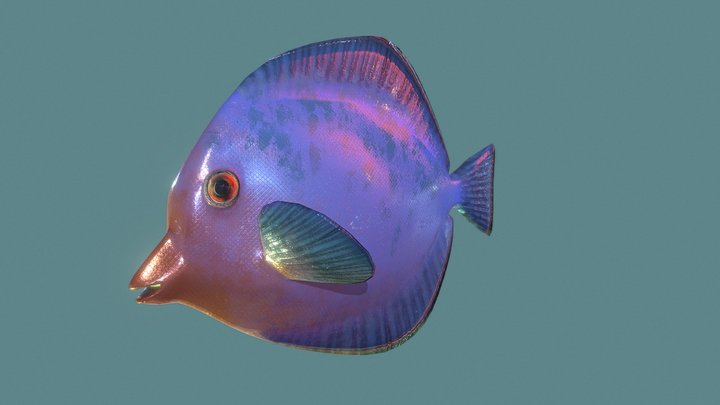Fish Demo 4/11 3D Model