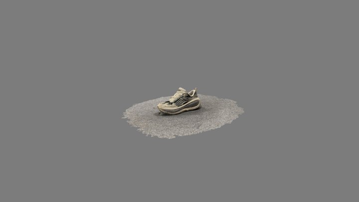 Digital imagery 3D model: Trainer