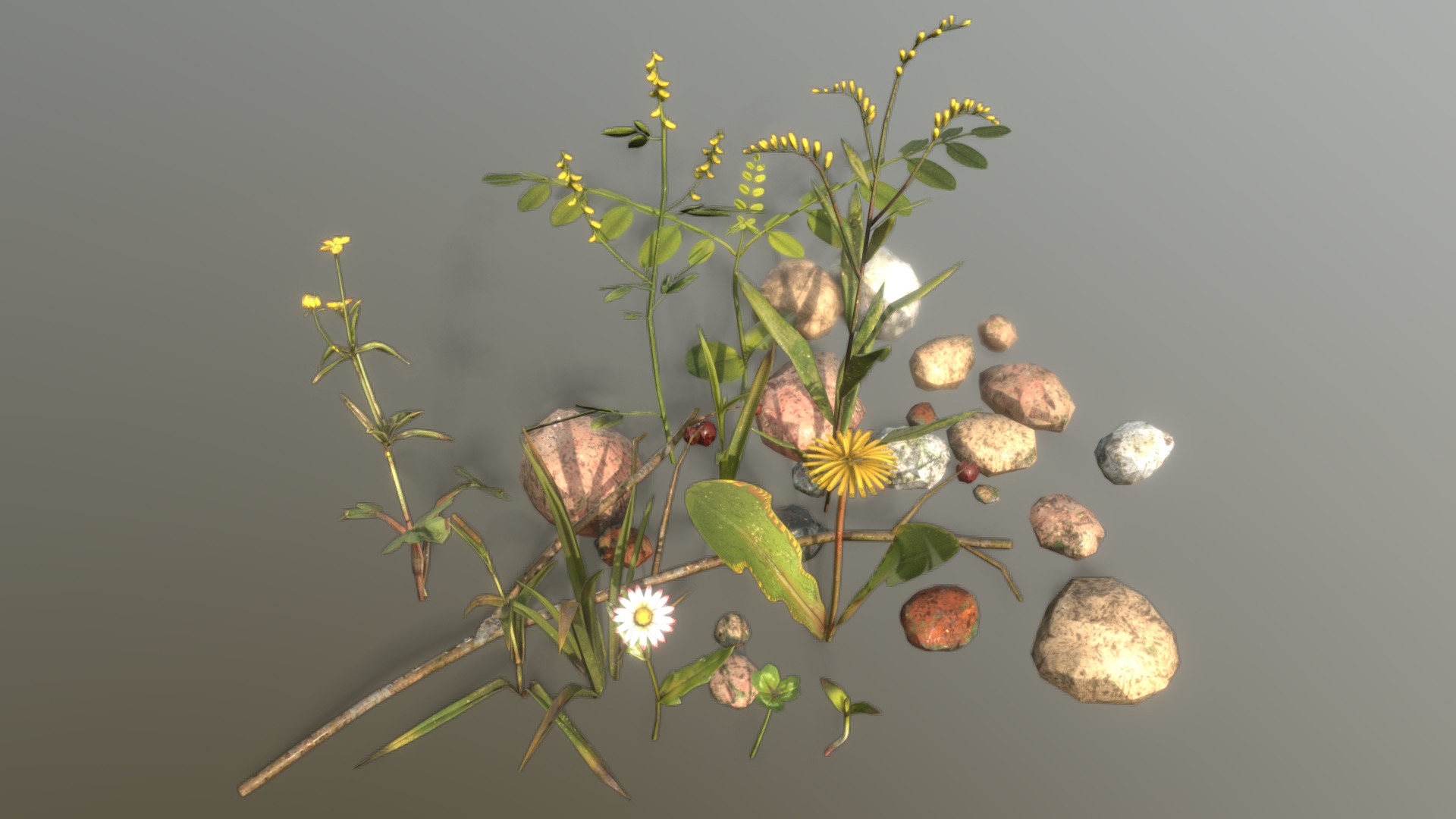 3D model Urban Meadow in Summer / Asset Pack - This is a 3D model of the Urban Meadow in Summer / Asset Pack. The 3D model is about a plant with flowers.