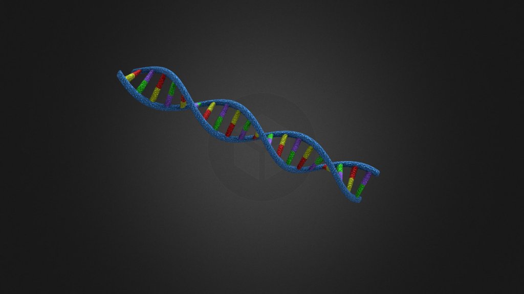 DNA