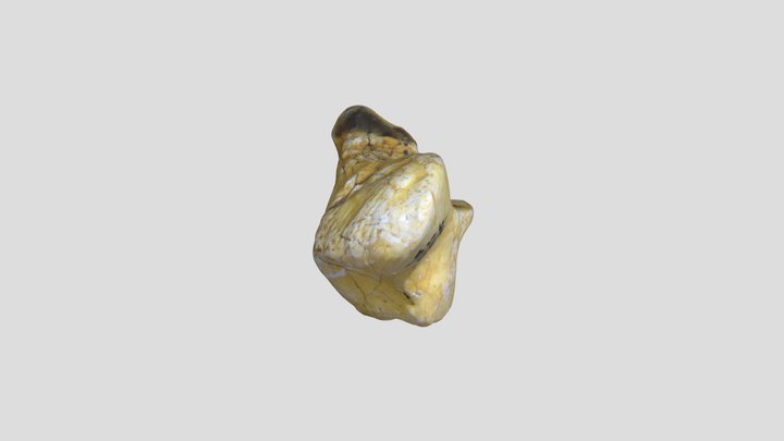 ABDSP_226.0_v929.1 3D Model