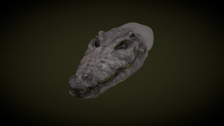 croctest_Surfacing(Sketchfab) 3D Model