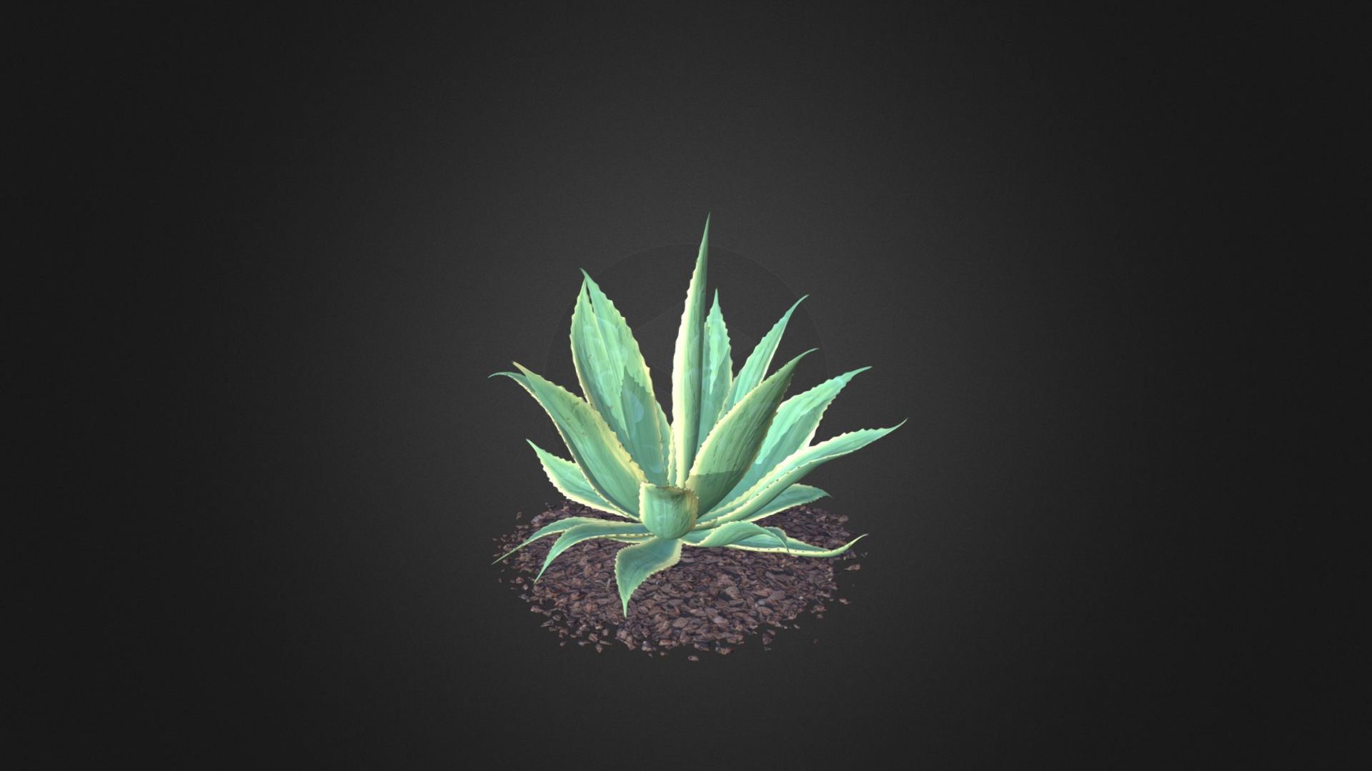 3D model Aloe (Aloe Vera) - This is a 3D model of the Aloe (Aloe Vera). The 3D model is about a plant in a pot.