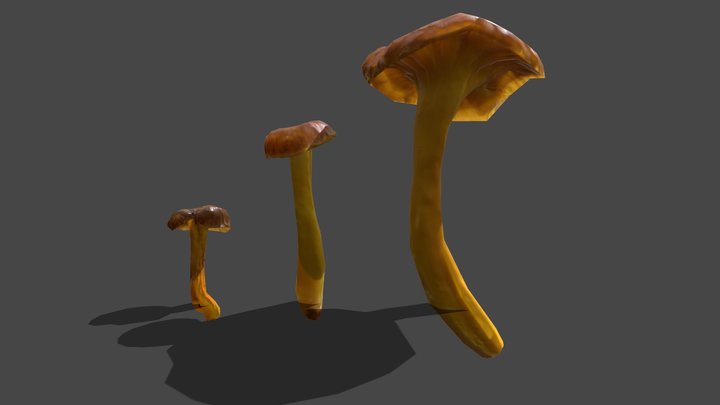Mushroom_27 3D Model
