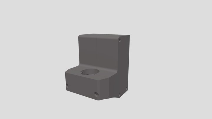 c araya 3D Model